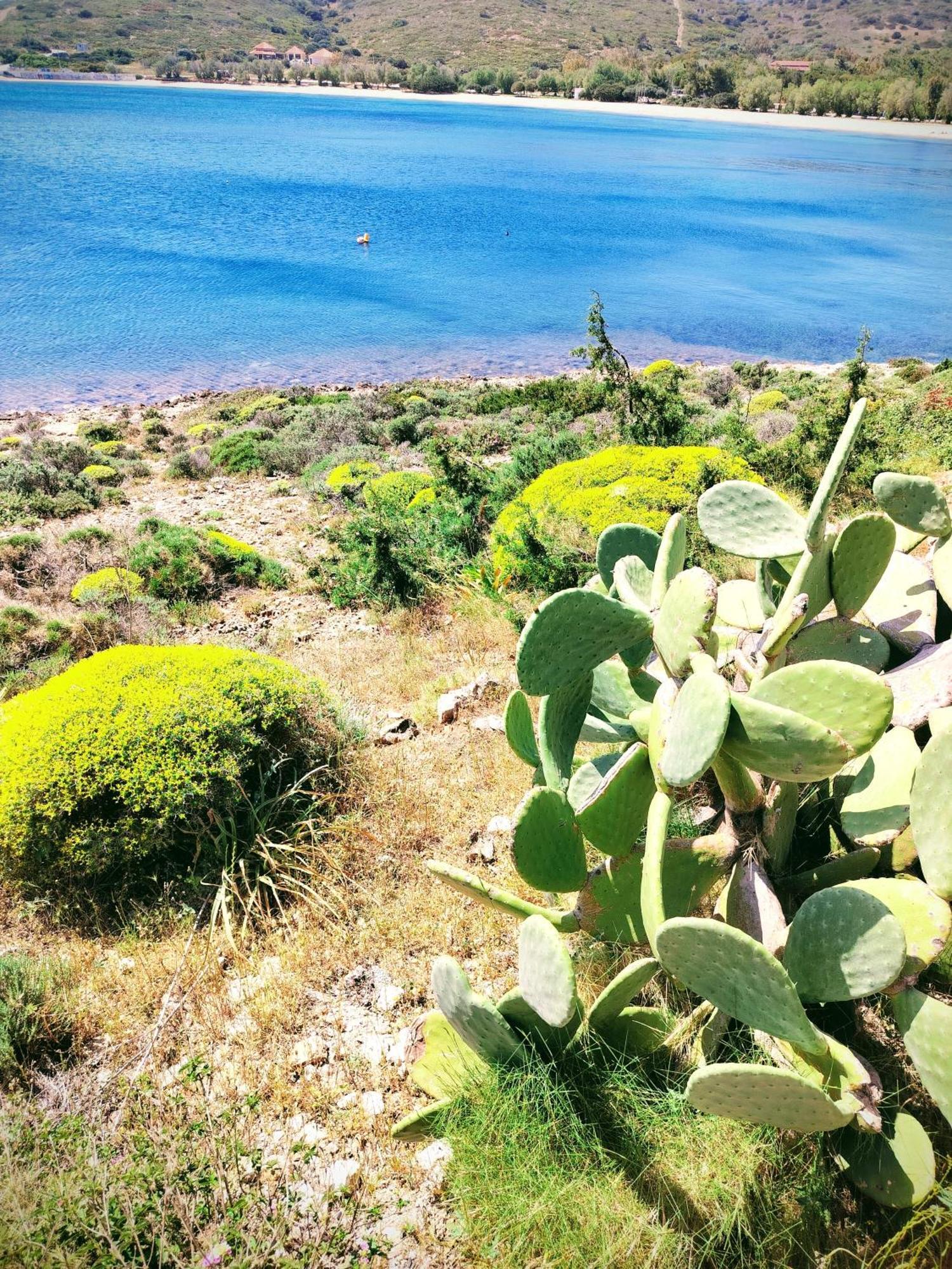 Cap Sounion Seafront Apartments -Adults Only Εξωτερικό φωτογραφία