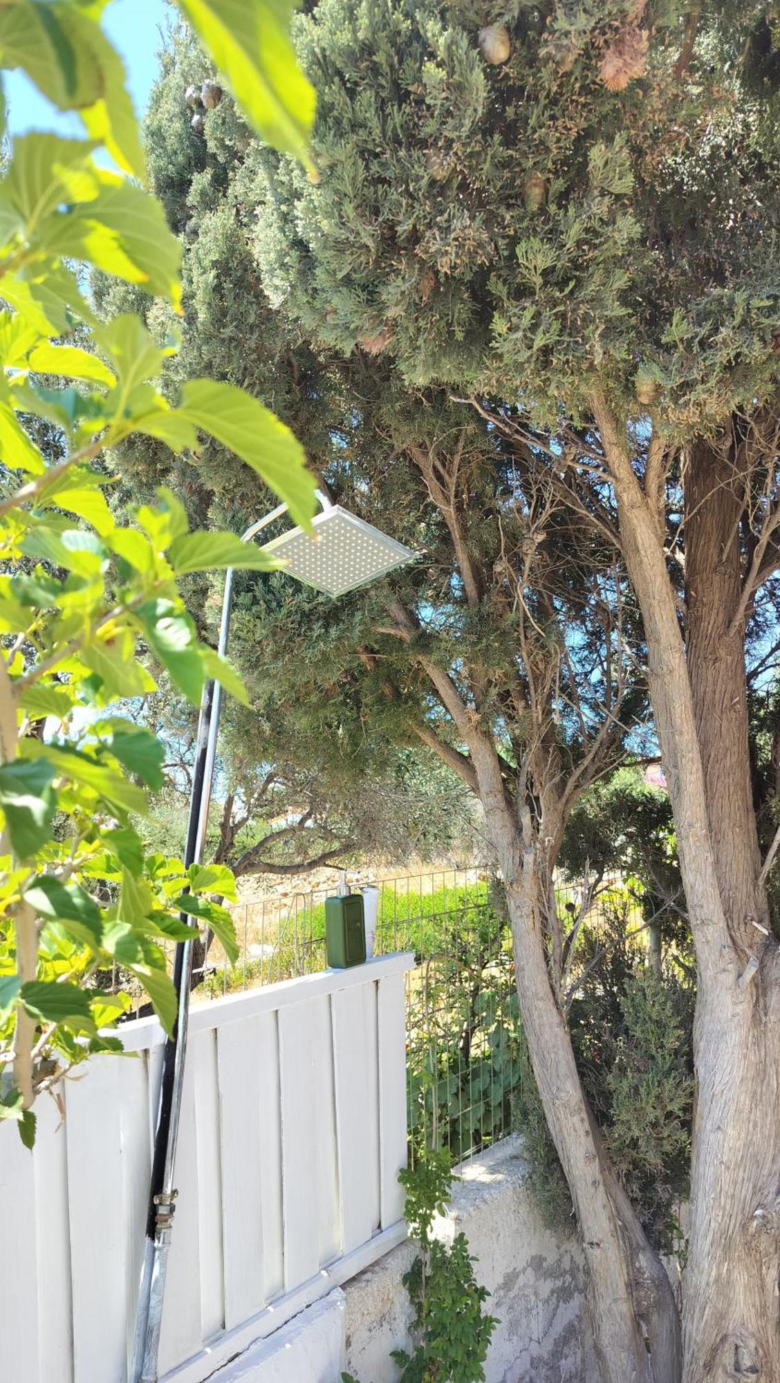Cap Sounion Seafront Apartments -Adults Only Εξωτερικό φωτογραφία